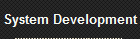 System Development